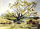tree@halford