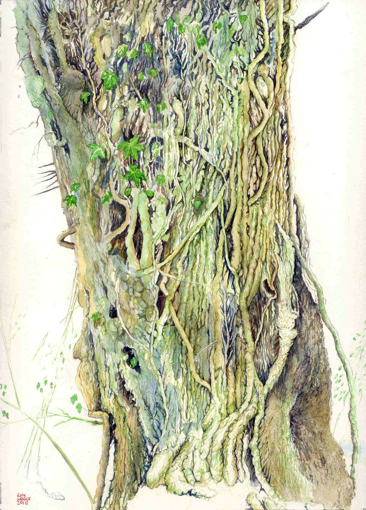 tree trunk 1